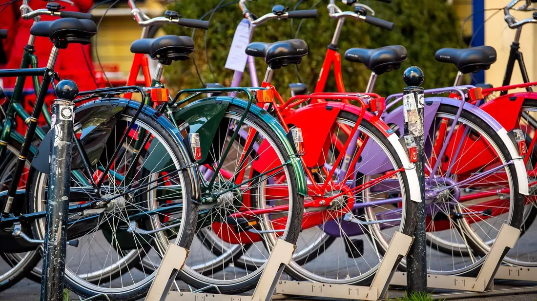 Die Fahrradbranche befindet sich nach den Corona-Jahren in einer schwierigen Phase. - Bild: Sina Schuldt/dpa
