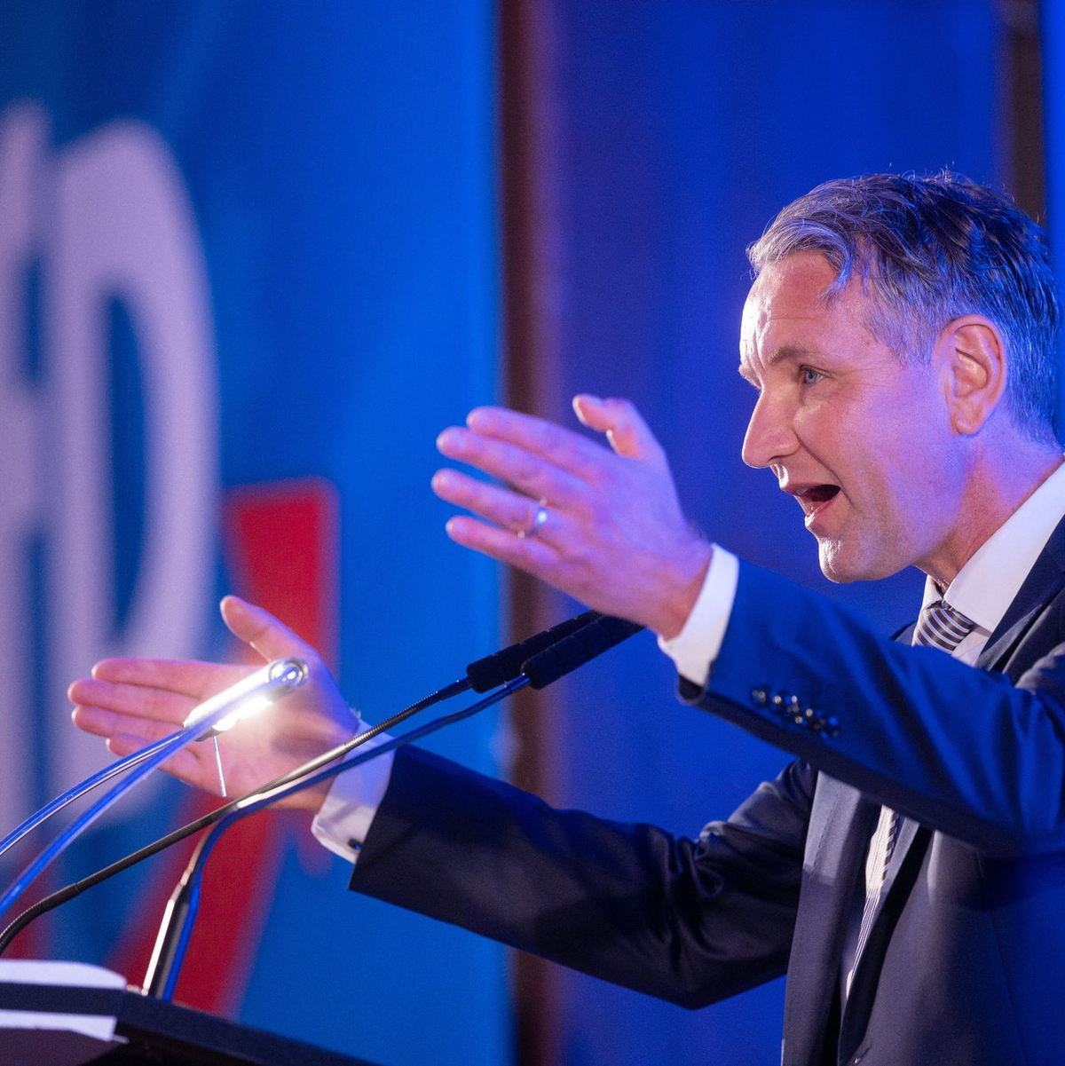 Der gewachsene Einfluss von Björn Höcke auf den Kurs der AfD ist dem DIMR zufolge ein Faktor für die ausgehende Gefahr der Partei. - Foto: Michael Reichel/dpa