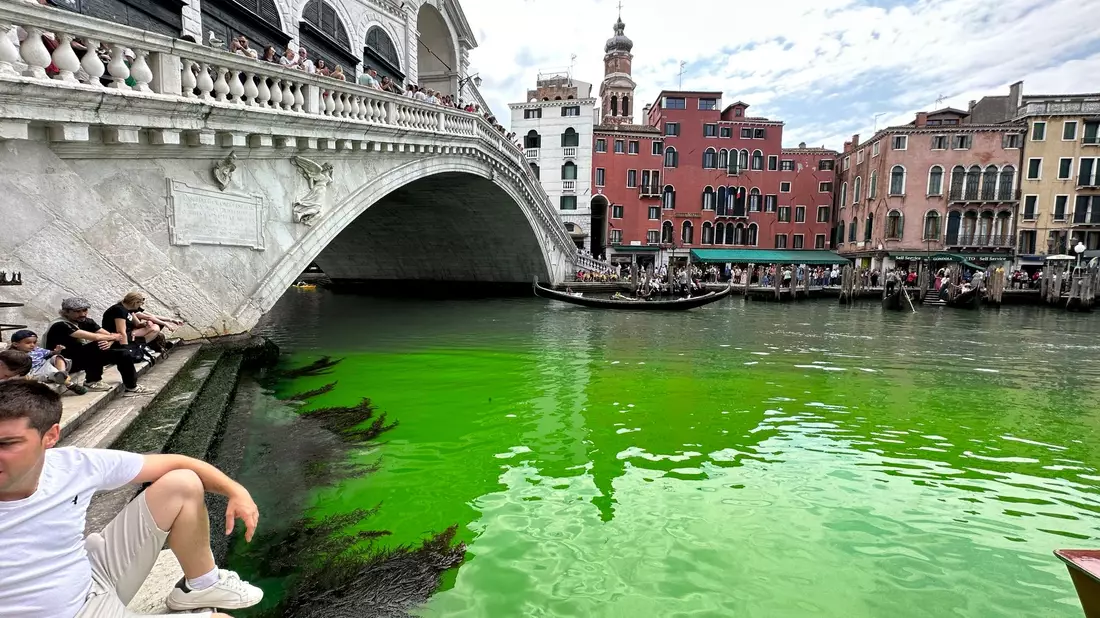 Der Canale Grande ist auf einmal grün. - Bild: Luigi Costantini/AP/dpa