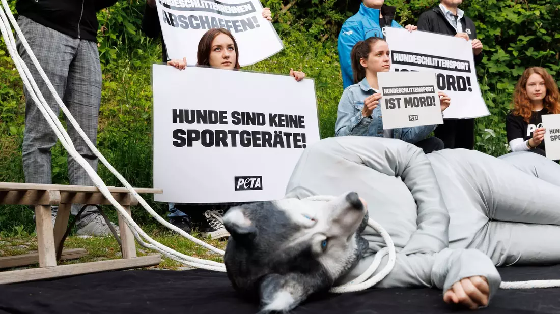 Die Tierschutzorganisation Peta protestiert vor dem Gericht. - Bild: Julian Rettig/dpa
