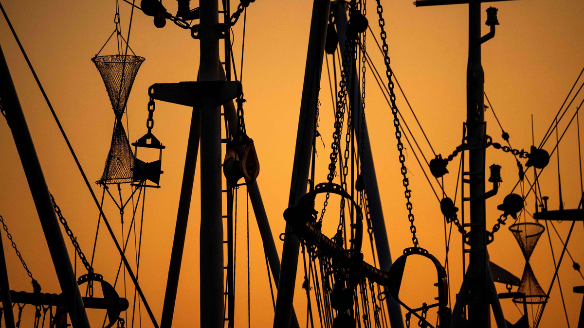 In der EU sollen die Vorgaben gegen umweltschädliche Überfischung besser kontrolliert werden. - Foto: Sina Schuldt/dpa