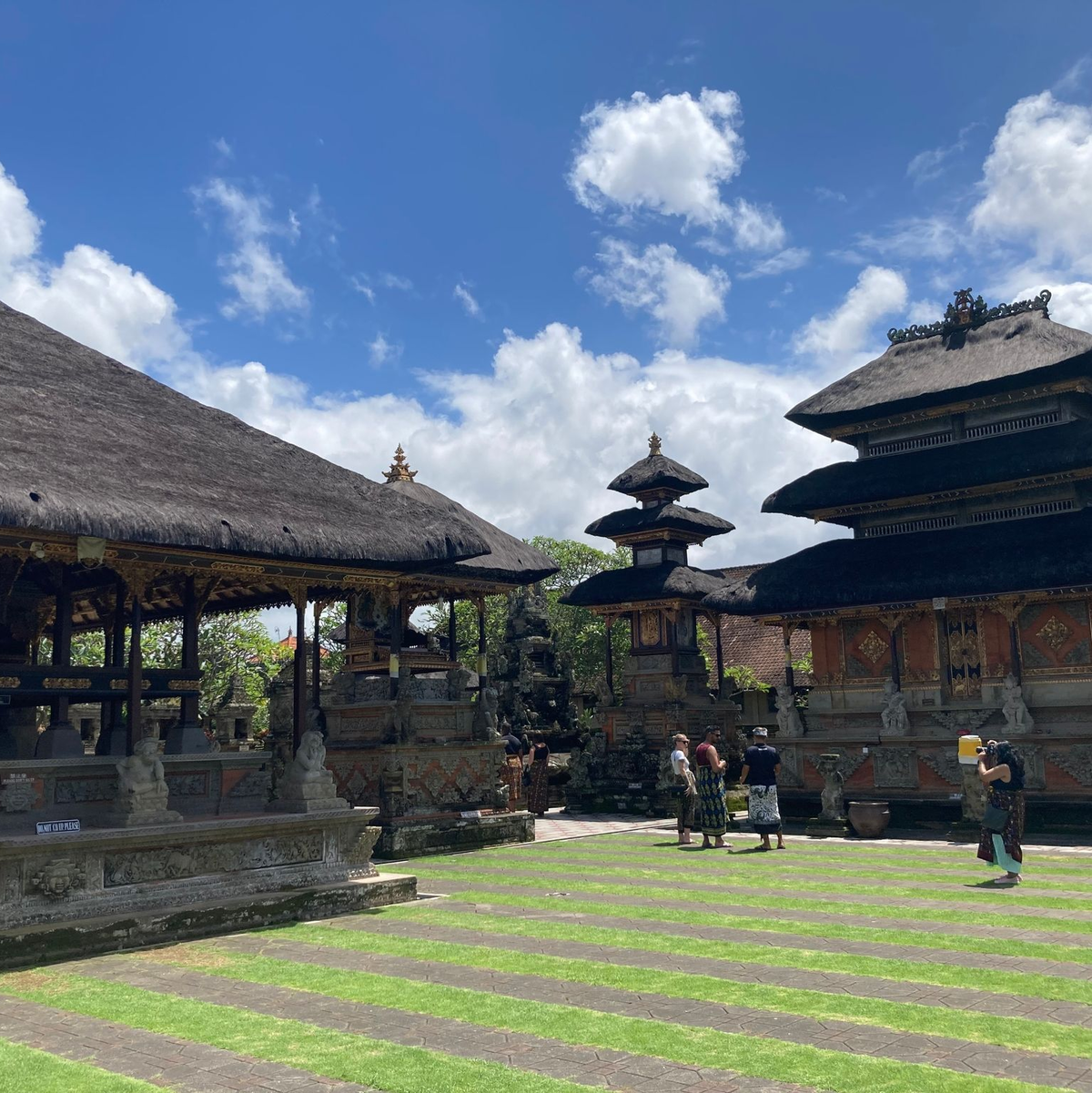 Eine junge Schleichkatze in ihrem Käfig in einem Kaffeegarten für Touristen auf Bali. Die Tiere werden eingesperrt, um Luwak Coffee (Kopi Luwak) zu produzieren, den wohl teuersten Kaffee der Welt. - Foto: Carola Frentzen/dpa