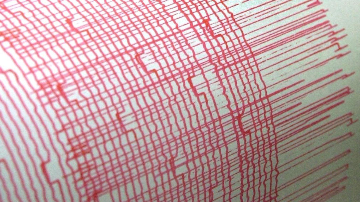 Ein Monitorschreiber zeichnet die Erschütterungen eines Erdbebens auf. (Symbolbild) - Foto: Bernd Thissen/dpa