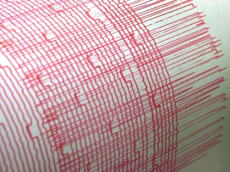 Ein Monitorschreiber zeichnet die Erschütterungen eines Erdbebens auf. (Symbolbild) - Foto: Bernd Thissen/dpa