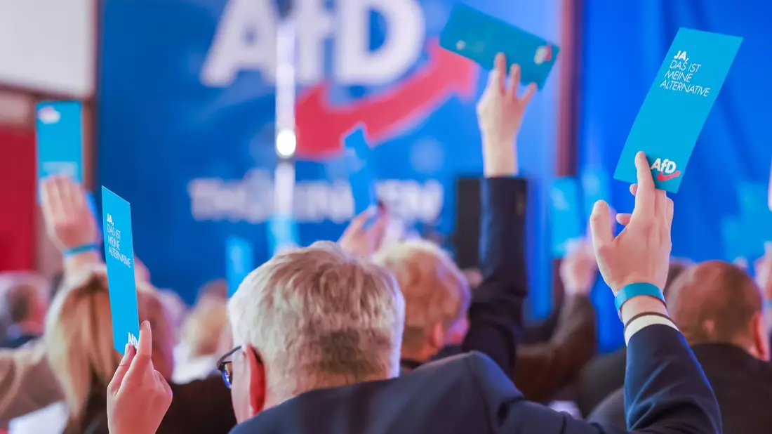 Die AfD hat in jüngsten Umfragen an Zustimmung gewonnen. - Bild: Michael Reichel/dpa