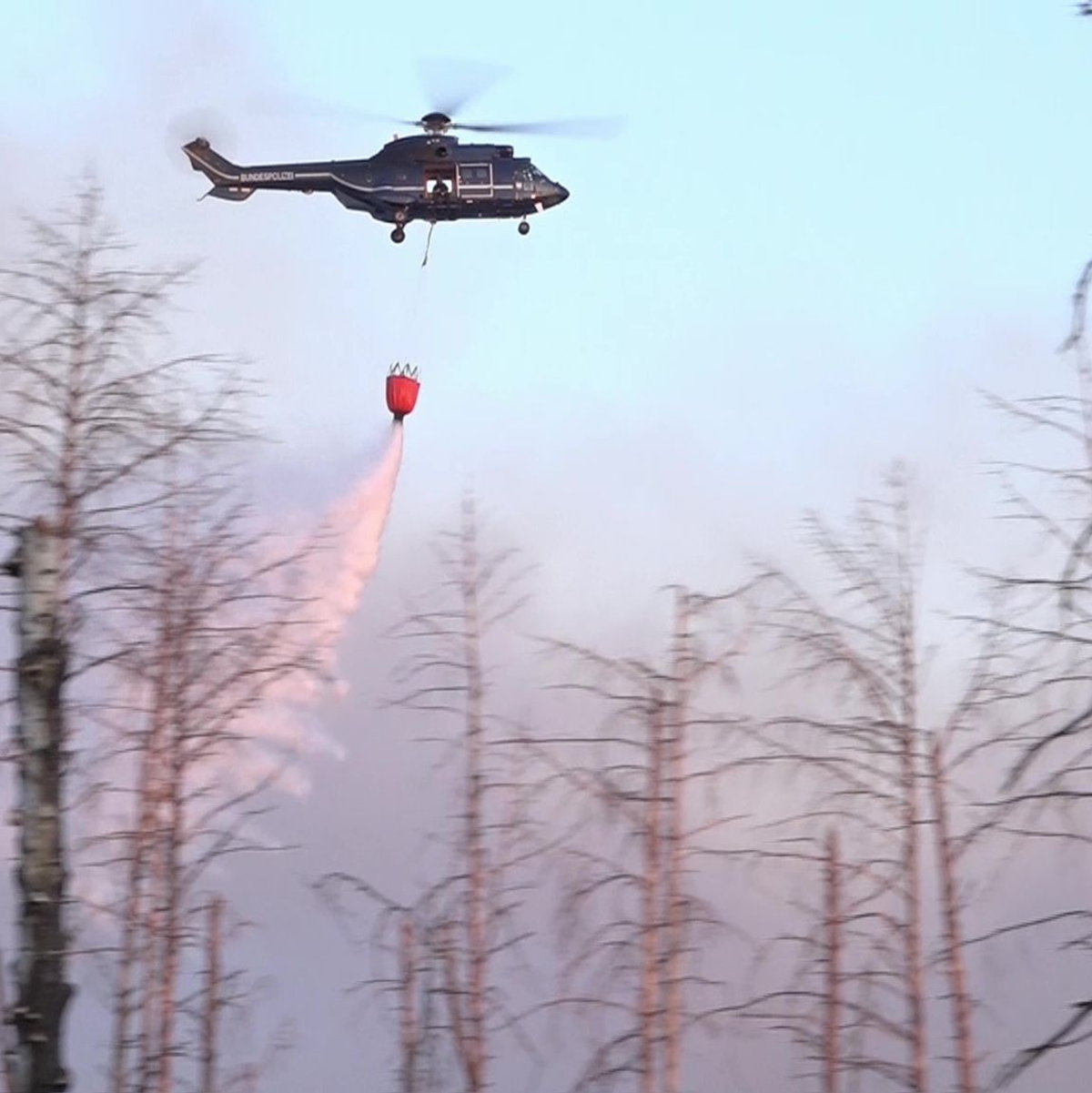 Flammen lodern auf einem ehemaligen Truppenübungsplatz bei Jüterbog. - Foto: Cevin Dettlaff/dpa