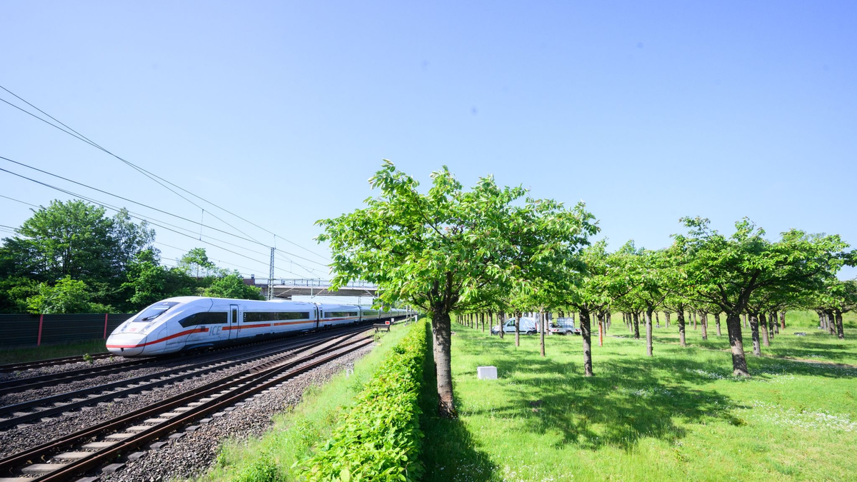 Ein ICE passiert die Gedenkstätte für die Opfer des ICE-Unglücks von Eschede. - Foto: Julian Stratenschulte/dpa