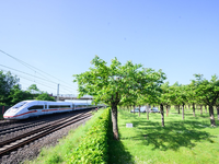 Ein ICE passiert die Gedenkstätte für die Opfer des ICE-Unglücks von Eschede. - Foto: Julian Stratenschulte/dpa