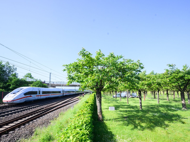 Ein ICE passiert die Gedenkstätte für die Opfer des ICE-Unglücks von Eschede. - Foto: Julian Stratenschulte/dpa
