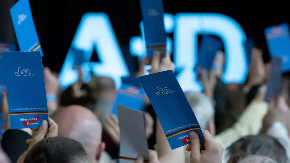 Die AfD arbeitet laut dem Deutschen Institut für Menschenrechte an einer «Gewöhnung an ihre rassistischen national-völkischen Positionen». - Bild: Hendrik Schmidt/dpa