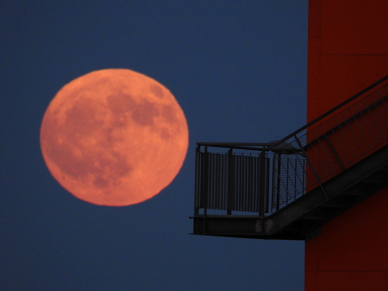 Dr sogenannte Erdbeermond über der Hafencity in Hamburg. - Foto: -/Citynewstv/dpa