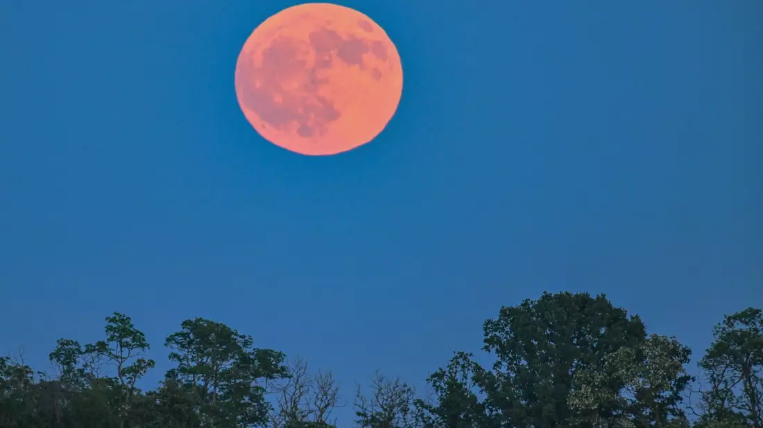 Der Erdbeermond leuchtet am späten Abend rötlich über der Landschaft. - Bild: Patrick Pleul/dpa