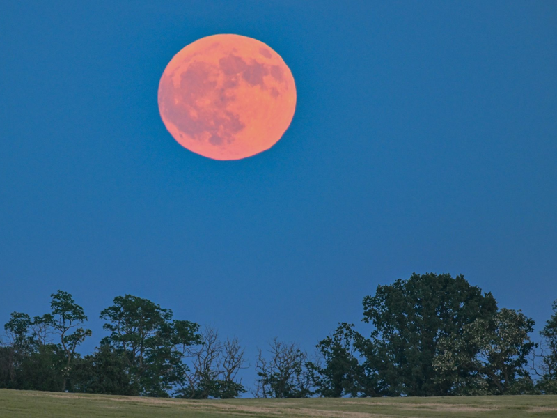 Blassroter Mond am Abendhimmel. (Archivbild) - Foto: Patrick Pleul/dpa
