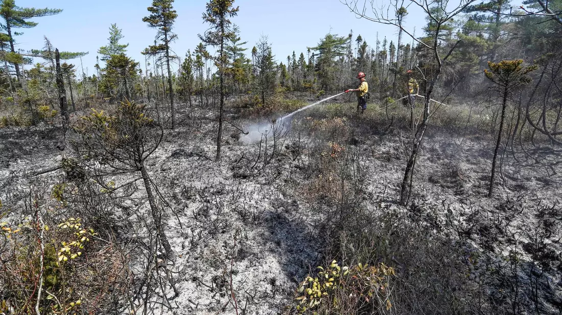 Einsatzkräfte bei Löscharbeiten in einem Waldgebiet in Kanada. - Bild: ---/Communications Nova Scotia via The Canadian Press/AP/dpa