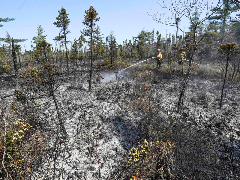 Einsatzkräfte bei Löscharbeiten in einem Waldgebiet in Kanada. - Foto: ---/Communications Nova Scotia via The Canadian Press/AP/dpa
