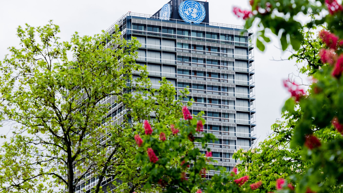 Blick auf den «Langen Eugen» in Bonn, wo die Vereinten Nationen ihren Sitz haben. - Foto: Rolf Vennenbernd/dpa