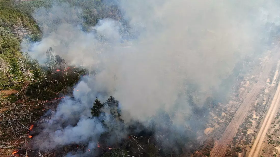 Einsatzkräfte bekämpfen nahe Jüterbog das Feuer in einem Waldstück. - Bild: Thomas Schulz/TNN/dpa