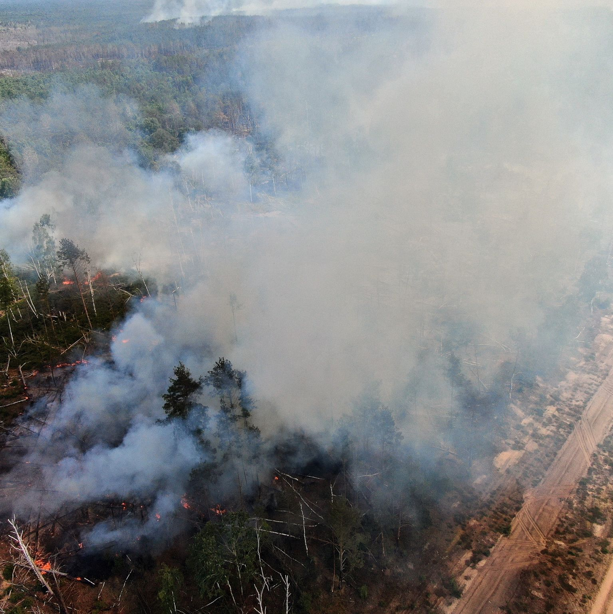 Auffrischender Wind hat den Waldbrand in einem mit Munition belasteten Waldgebiet südlich von Berlin angefacht und die betroffene Fläche auf 326 Hektar mehr als verdoppelt. - Foto: Thomas Schulz/TNN/dpa