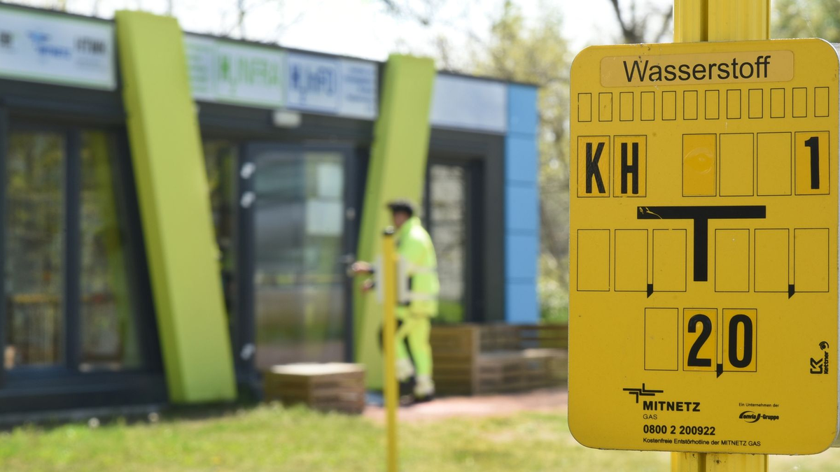 Wasserstoff soll im Zuge der Energiewende schrittweise Erdgas ersetzen. - Foto: Waltraud Grubitzsch/dpa