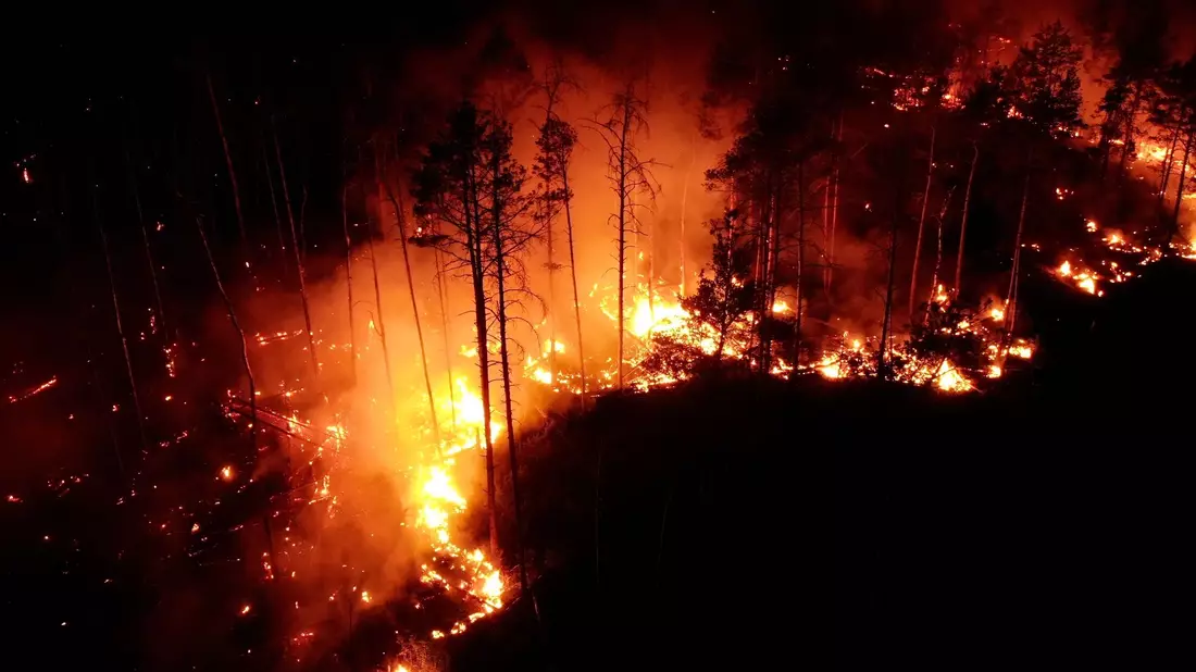 Auffrischender Wind hat den Waldbrand bei Jüterbog südlich von Berlin angefacht und die betroffene Fläche auf 326 Hektar mehr als verdoppelt. - Bild: Thomas Schulz/dpa