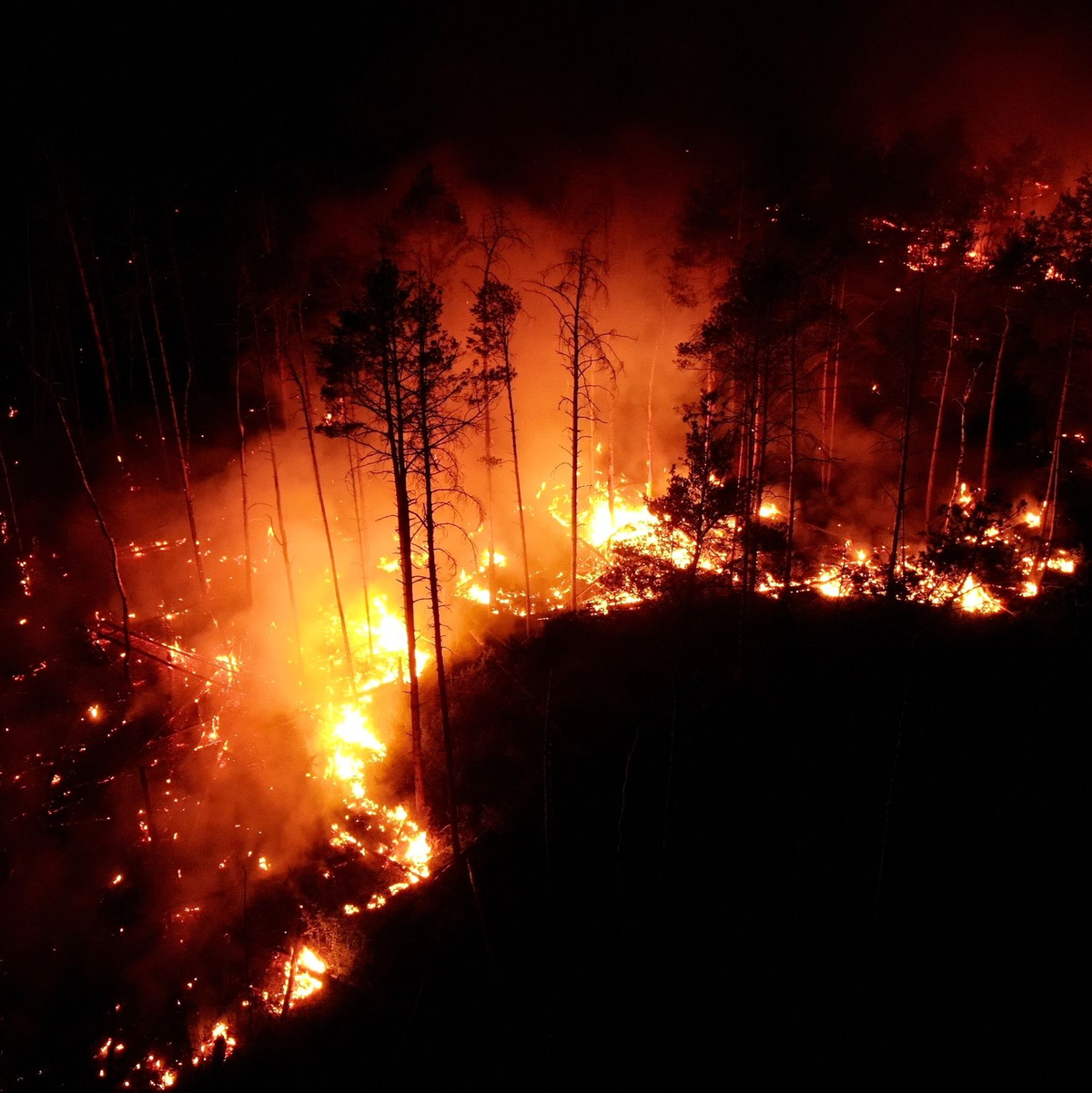 Auffrischender Wind hat den Waldbrand bei Jüterbog südlich von Berlin angefacht und die betroffene Fläche auf 326 Hektar mehr als verdoppelt. - Foto: Thomas Schulz/dpa