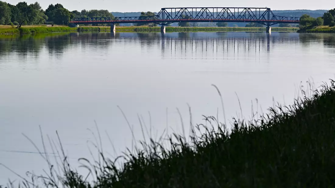 Blick von der polnischen Seite über den deutsch-polnischen Grenzfluss Oder im Nationalpark Unteres Odertal. - Bild: Patrick Pleul/dpa