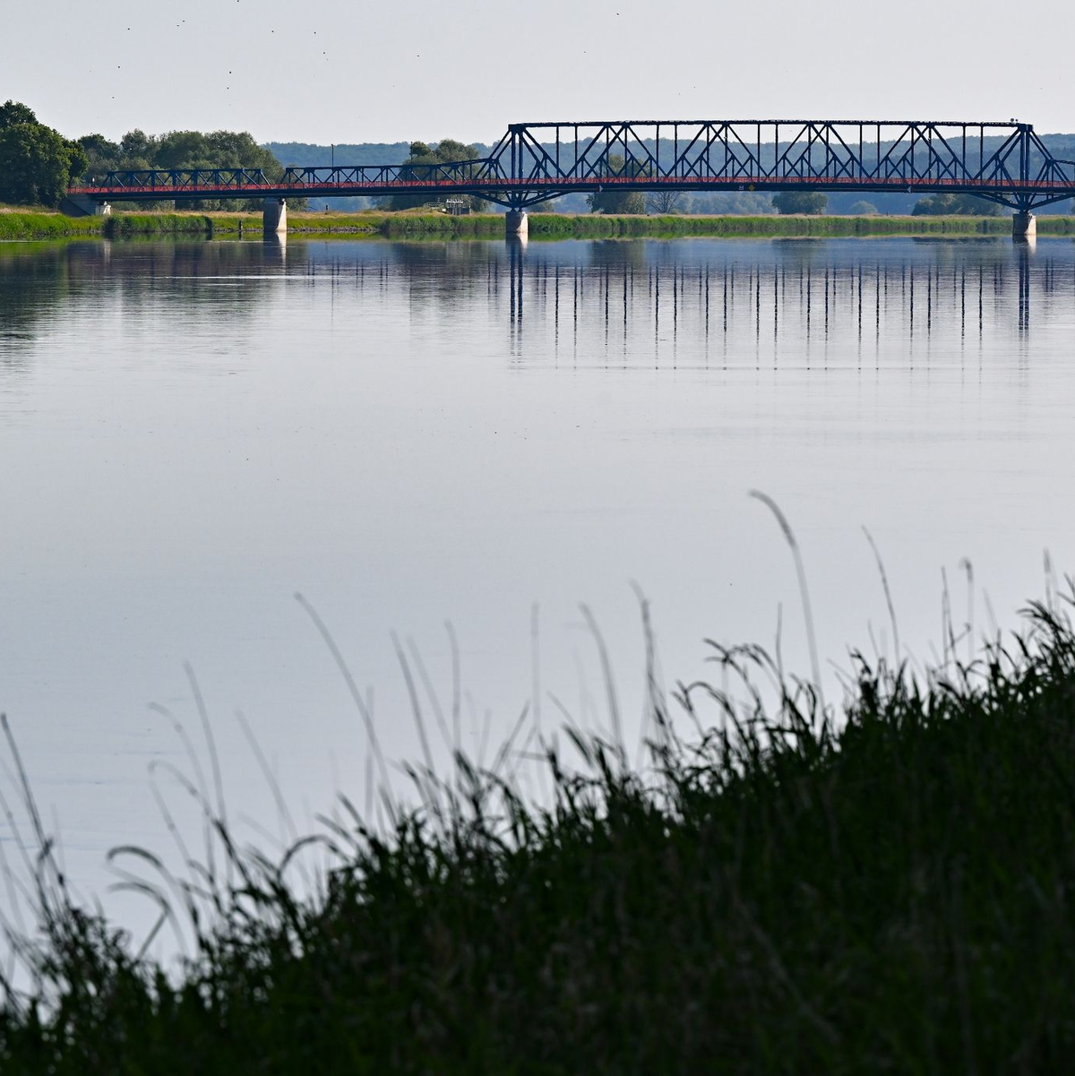 Blick von der polnischen Seite über den deutsch-polnischen Grenzfluss Oder im Nationalpark Unteres Odertal. - Foto: Patrick Pleul/dpa