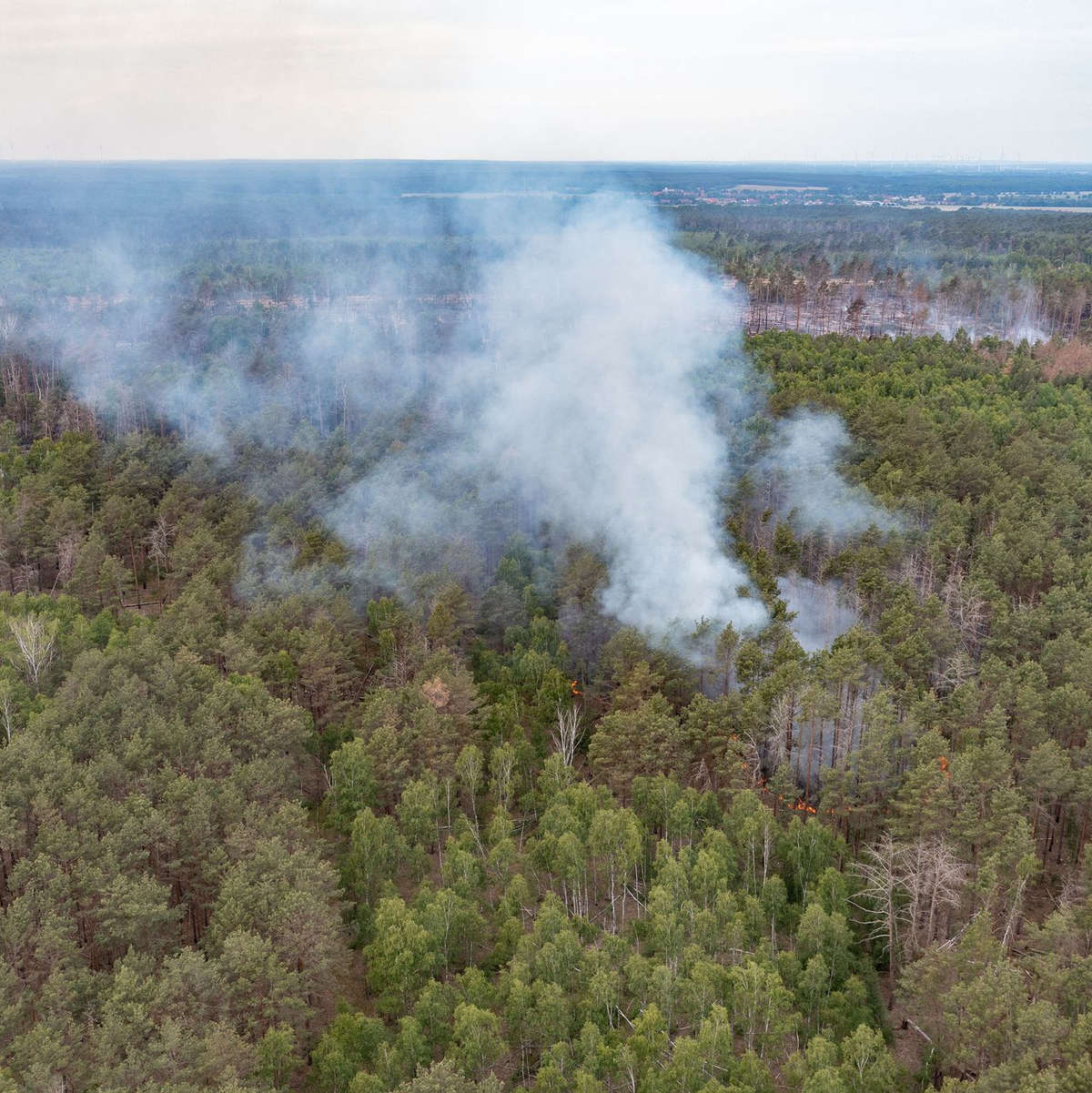 Vor dem Waldbrand wird im Naturschutzgebiet bei Jüterbog gewarnt. - Foto: Paul Zinken/dpa