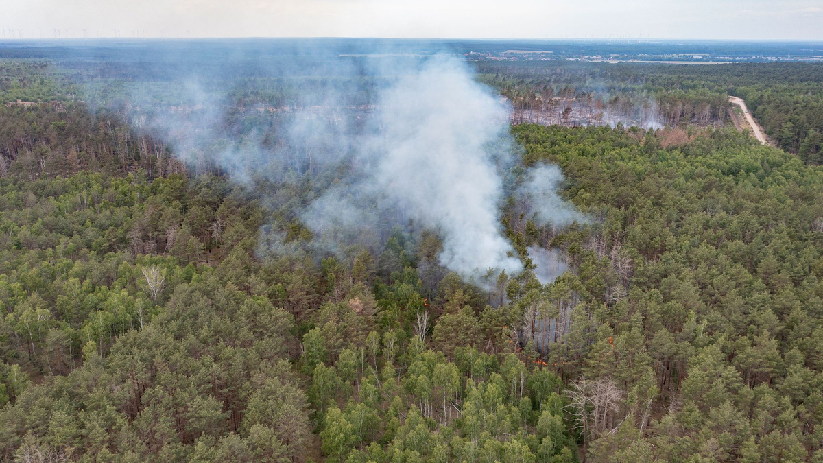 Ein Warnhinweis hängt im Naturschutzgebiet des ehemaligen Truppenübungsgelände bei Jüterbog. - Foto: Paul Zinken/dpa