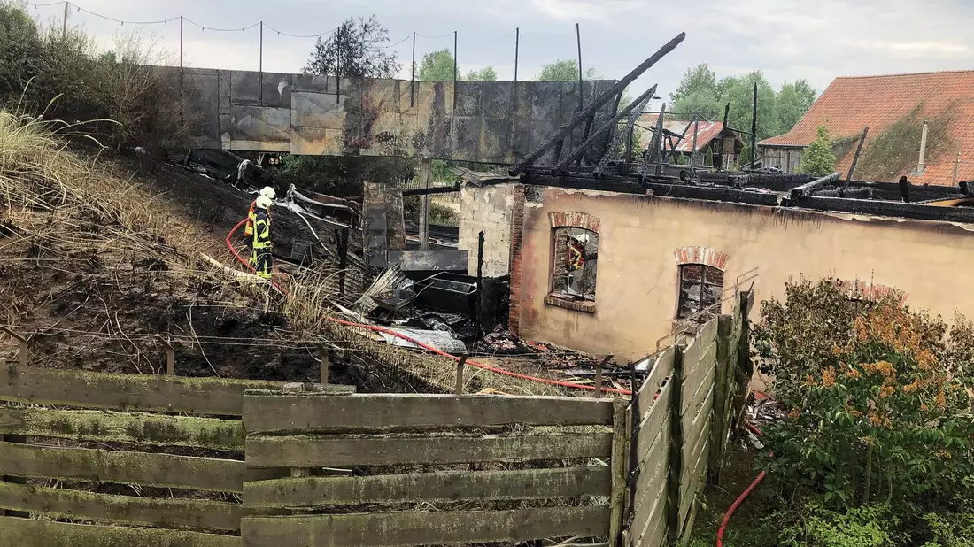 Bei dem Brand auf dem Gelände sind mehrere Menschen verletzt worden. - Bild: Wilhelm Pischke/dpa