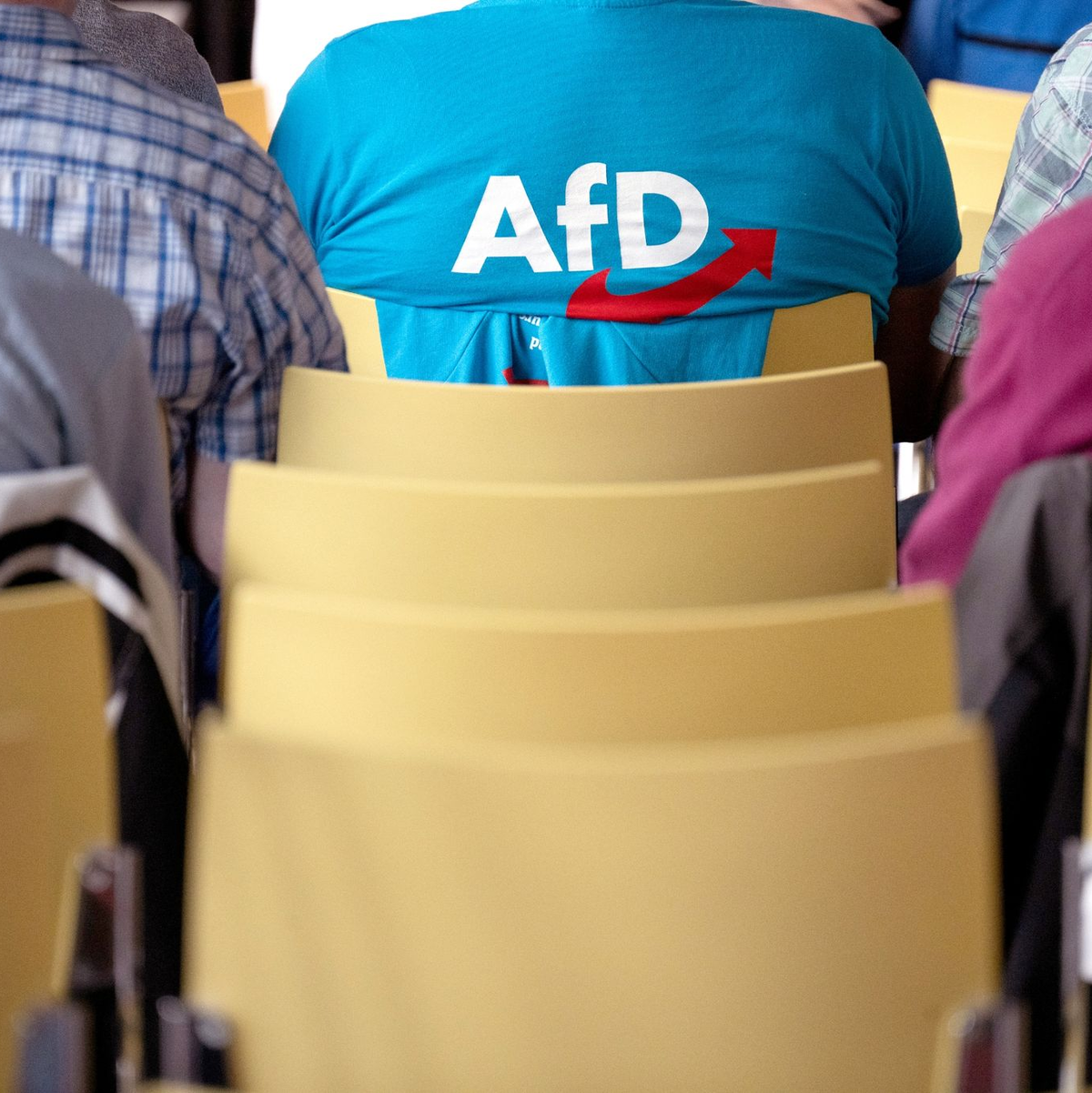 Im ARD-«Deutschlandtrend» hatte die AfD zuletzt bundesweit mit 18 Prozent mit der SPD gleichgezogen. - Foto: Sebastian Christoph Gollnow/dpa