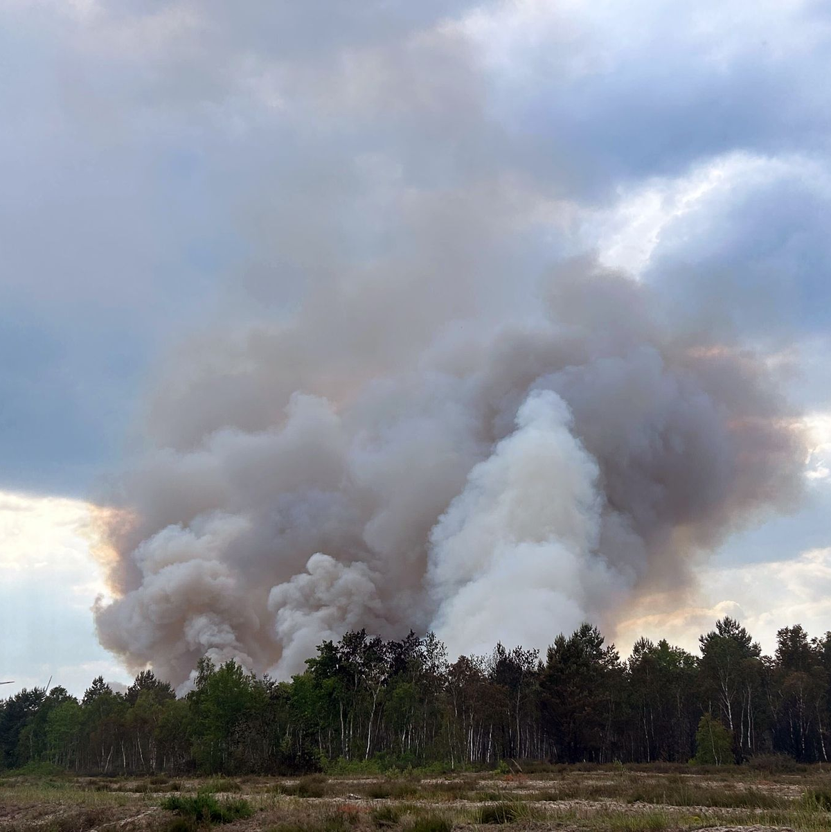 Starker Wind hat den vor einer Woche ausgebrochenen Waldbrand bei Jüterbog nach Angaben der Einsatzleitung wieder angefacht. - Foto: Sven Kaeuler/TNN/dpa