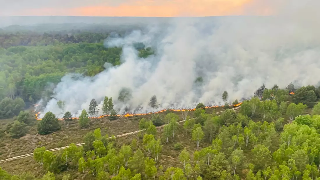 Blick auf das Waldbrandgebiet in Jüterbog aus einem Hubschrauber der Bundespolizei. - Bild: --/Bundespolizei/dpa