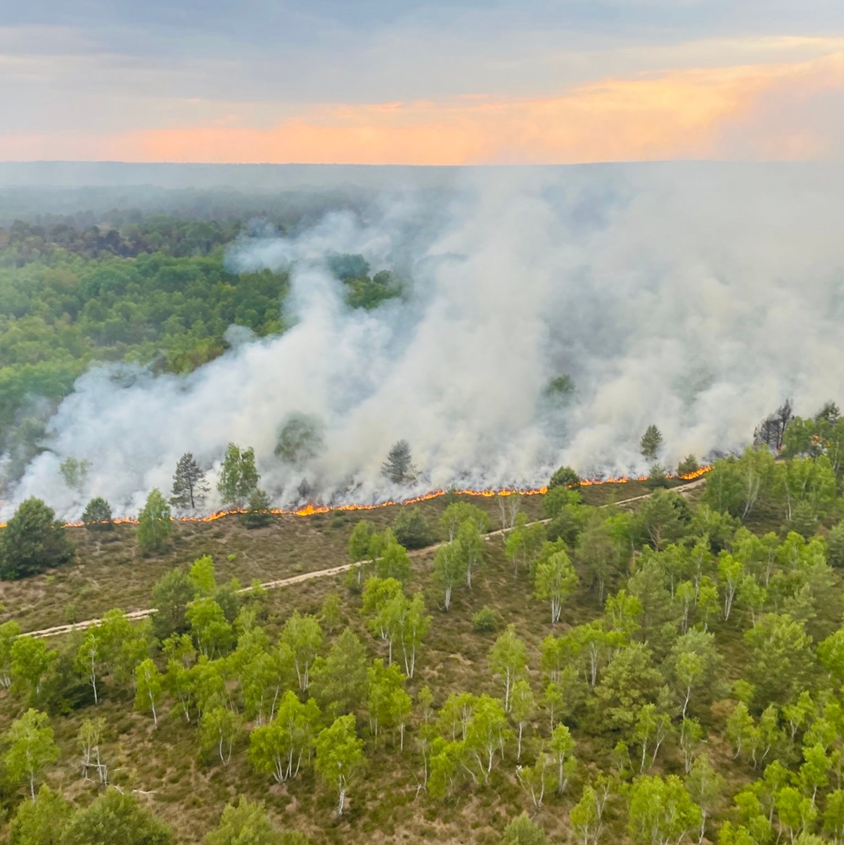 Ein Blick auf das Waldbrandgebiet in Jüterbog aus einem Hubschrauber der Bundespolizei. - Foto: --/Bundespolizei/dpa