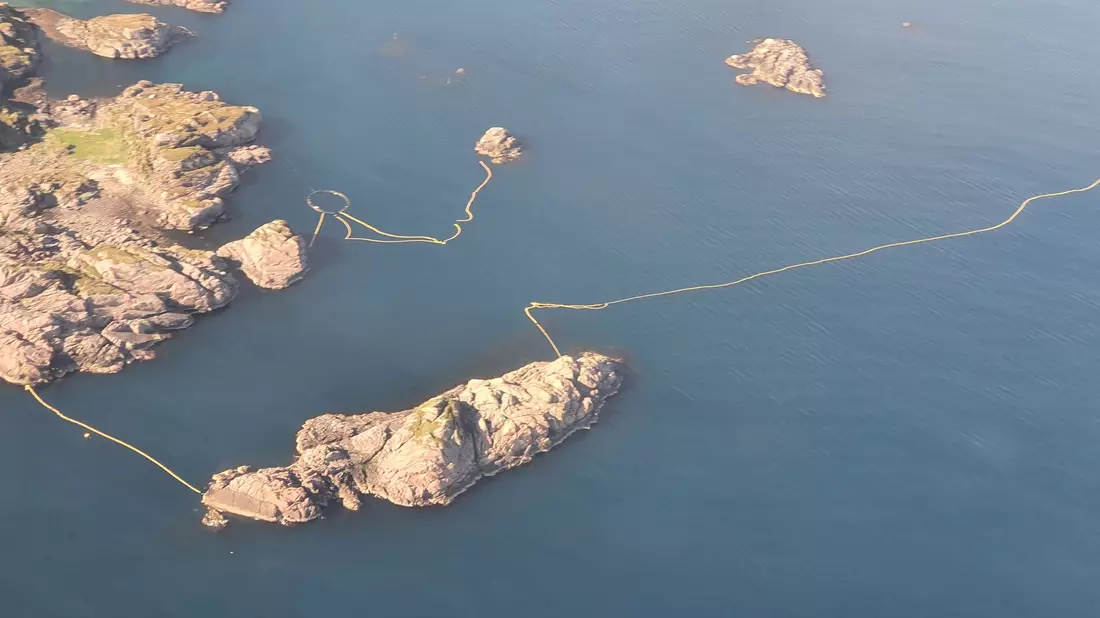 Auf den Lofoten im hohen Norden Norwegens ist ein Zwergwal ums Leben gekommen. - Bild: WDC/dpa