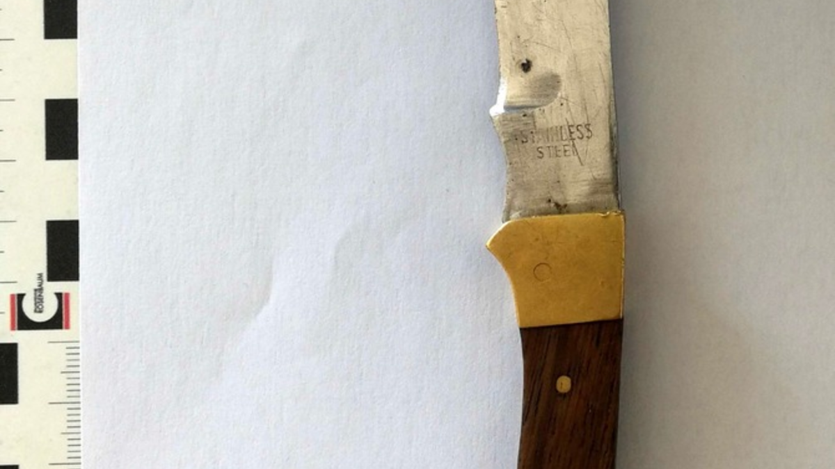 FW Hünxe: Baum blockierte Straße - Foto: presseportal.de