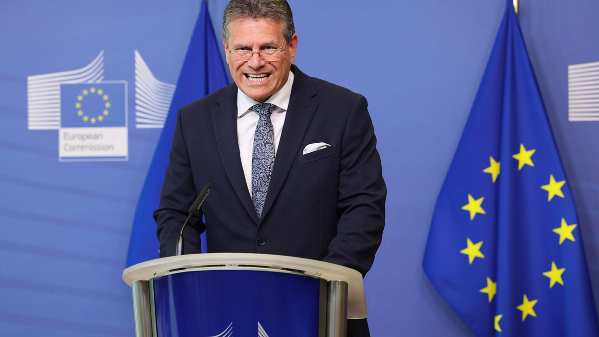 Maros Sefcovic, EU-Kommissar für interinstitutionelle Beziehungen und Zukunftsforschung, freut sich über die Ergebnisse der ersten gemeinsamen EU-Ausschreibung für den Gaseinkauf. - Foto: Geert Vanden Wijngaert/AP/dpa