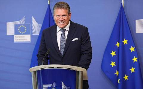 Maros Sefcovic, EU-Kommissar für interinstitutionelle Beziehungen und Zukunftsforschung, freut sich über die Ergebnisse der ersten gemeinsamen EU-Ausschreibung für den Gaseinkauf. - Foto: Geert Vanden Wijngaert/AP/dpa