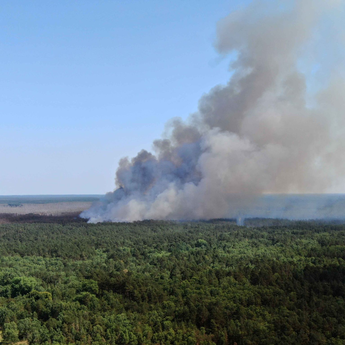 Rauch steigt über einem Waldgebiet im mecklenburgischen Lübtheen auf. Auf zwei ehemaligen Truppenübungsplätzen im südwestlichen Mecklenburg sind Brände ausgebrochen. - Foto: Ralf Drefin/dpa-Zentralbild/dpa