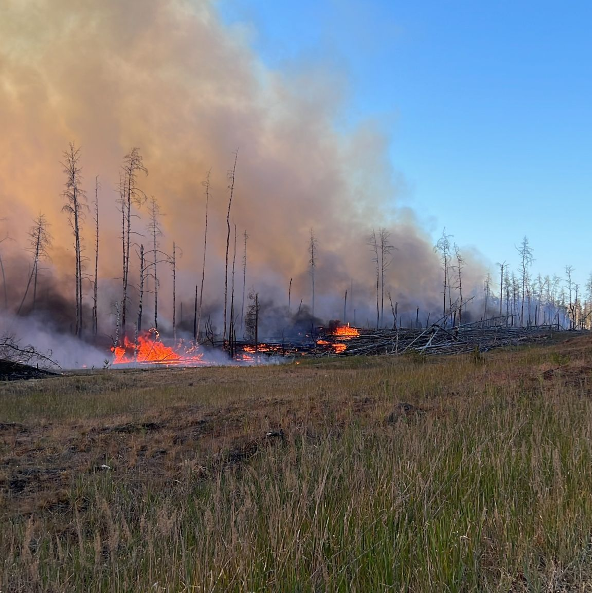 Flammen schlagen im Juni in einem Waldstück nahe Jüterbog in die Höhe. - Foto: Thomas Schulz/dpa