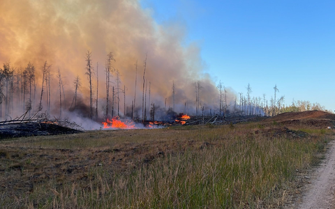 Hitze ist Forschenden zufolge das größte Klimarisiko für die menschliche Gesundheit. - Foto: Thomas Schulz/dpa