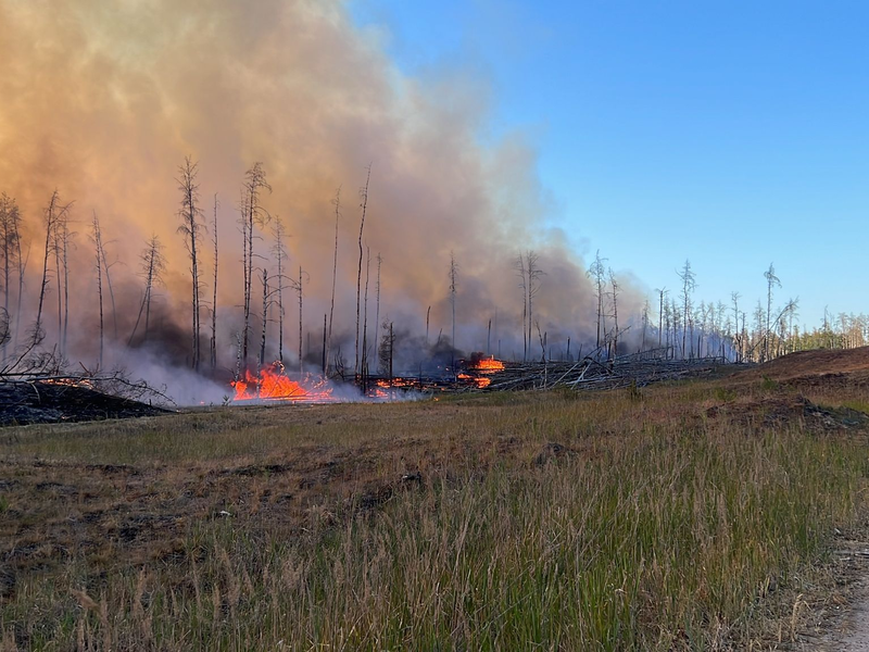 Hitze ist Forschenden zufolge das größte Klimarisiko für die menschliche Gesundheit. - Foto: Thomas Schulz/dpa