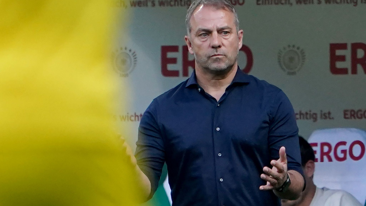 Bundestrainer Hansi Flick muss sich Fragen stellen. - Foto: Marcus Brandt/dpa