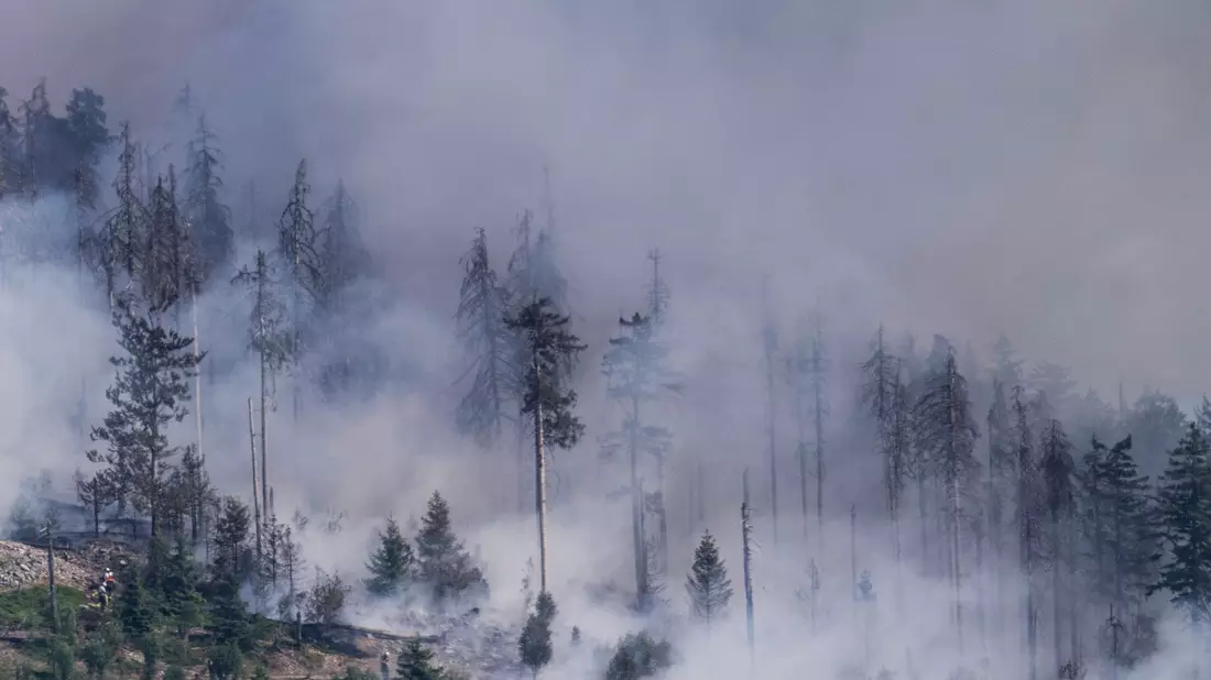 Waldbrand auf dem Altkönig bei Kronberg in Hessen. - Bild: Boris Roessler/dpa