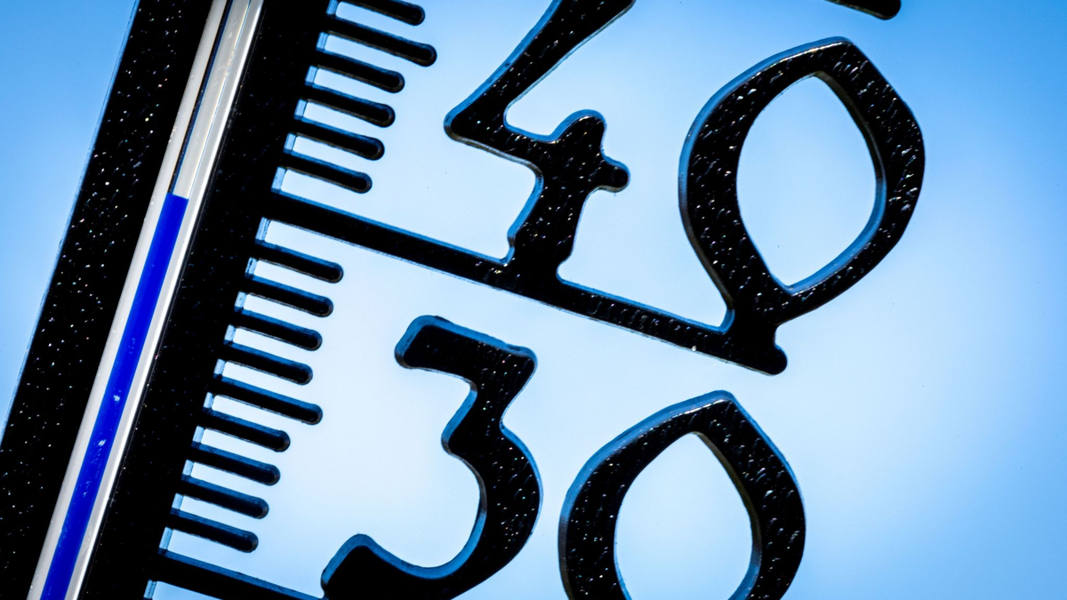 Allein 2022 soll es in Deutschland 4500 hitzebedingte Todesfälle gegeben haben - im Jahr 2018 sogar 8700. - Foto: Jens Büttner/dpa