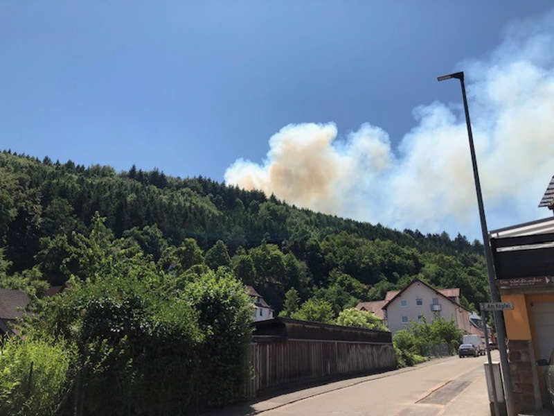 In Rodalben bei Pirmasens steigt Rauch über einem Waldgebiet auf. - Foto: Polizeipräsidium Kaiserslautern/dpa