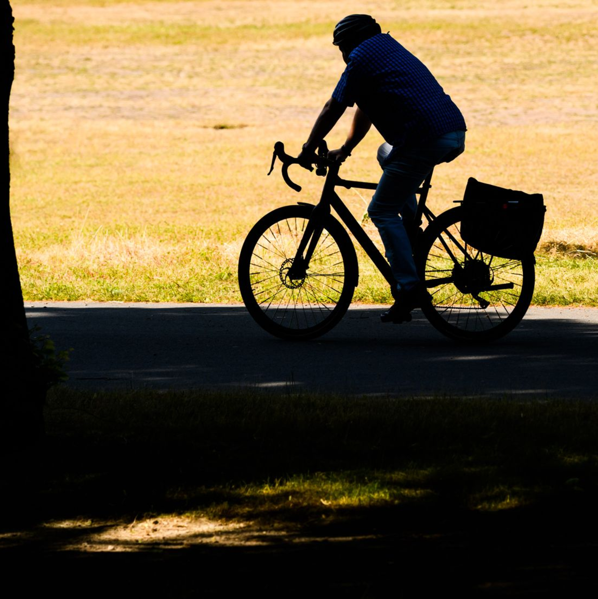 Kein Regen: Ein Radfahrer fährt vorbei an einer sehr trockenen Wiese in Hannover. - Foto: Julian Stratenschulte/dpa