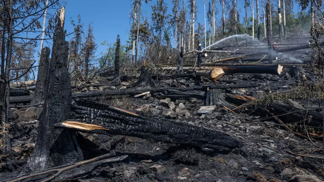 Ein Feuerwehrmann löscht Glutnester und wieder auflodernde Flammen bei einem Waldbrand auf dem Altkönig im Taunus. - Bild: Boris Roessler/dpa