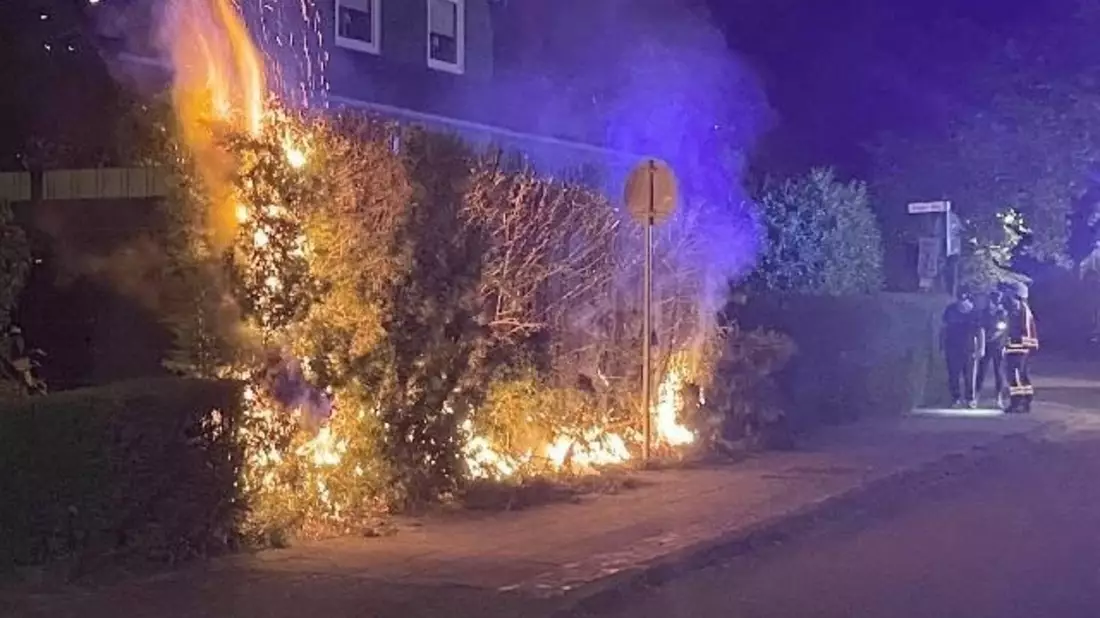 FW-BO: Fünf sturmbedingte Einsätze für die Feuerwehr Bochum - Bild: presseportal.de
