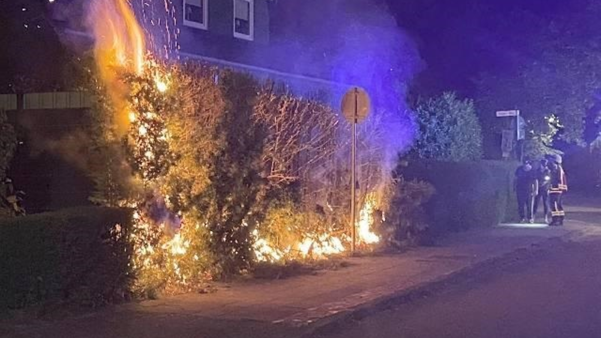 POL-PIBIN: Einblick mit Ausblick: Erster Blaulichtabend bei der Polizeiinspektion Bingen - Foto: presseportal.de